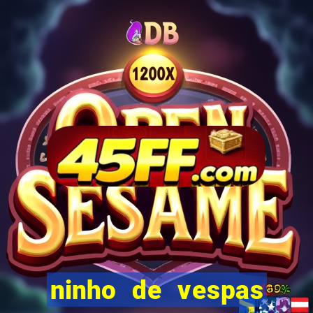 ninho de vespas significado espiritual